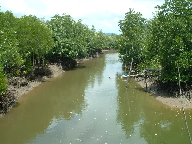 A tidal channel running between mangroves on Koh Lanta